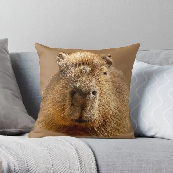 

Capybara Dozing In The Sunshine Printing Throw Pillow Cover Comfort Cushion Case Sofa Decor Anime Soft Home Pillows Not Include
