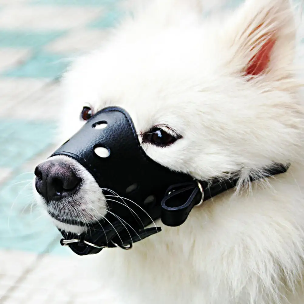 Dog Muzzle Adjustable Comfortable Breathable Adjustable Dog Muzzle with Ventilation Holes for Anti-bite for Small for Dogs
Dog Muzzle Adjustable Comfortable Breathable Adjustable Dog Muzzle with Ventilation Holes for Anti-bite for Small for Dogs