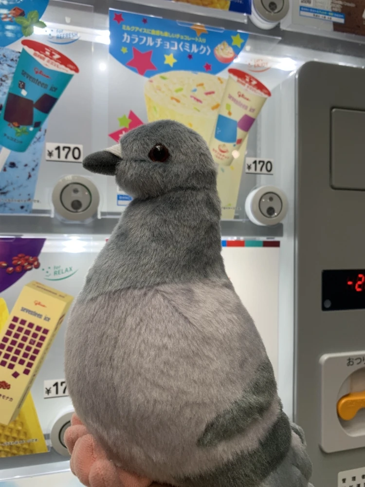 Имитация плюшевых игрушечных голубей, плюшевая игрушка, милая серая белая кукла-голубь, маленькая буква-переносчик, голубей, птица, мир, голуби, мягкая
Имитация плюшевых игрушечных голубей, плюшевая игрушка, милая серая белая кукла-голубь, маленькая буква-переносчик, голубей, птица, мир, голуби, мягкая