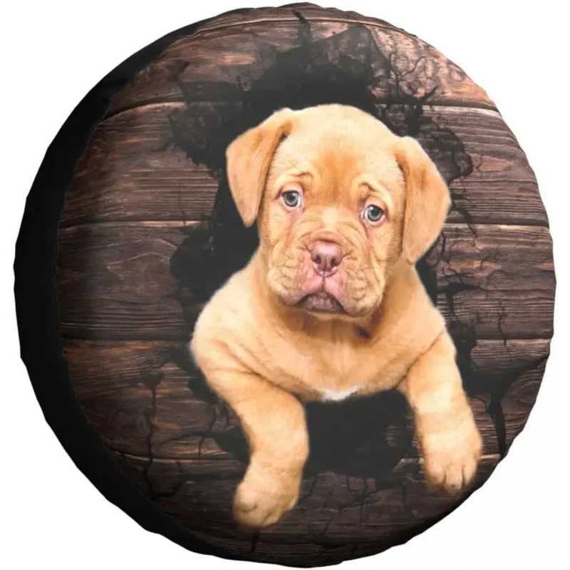Чехол для шины Dog водонепроницаемый пыленепроницаемый универсальный чехол для запасных колес подходит для трейлера RV SUV грузовика 14 15 16 17 дюймов
Чехол для шины Dog водонепроницаемый пыленепроницаемый универсальный чехол для запасных колес подходит для трейлера RV SUV грузовика 14 15 16 17 дюймов
