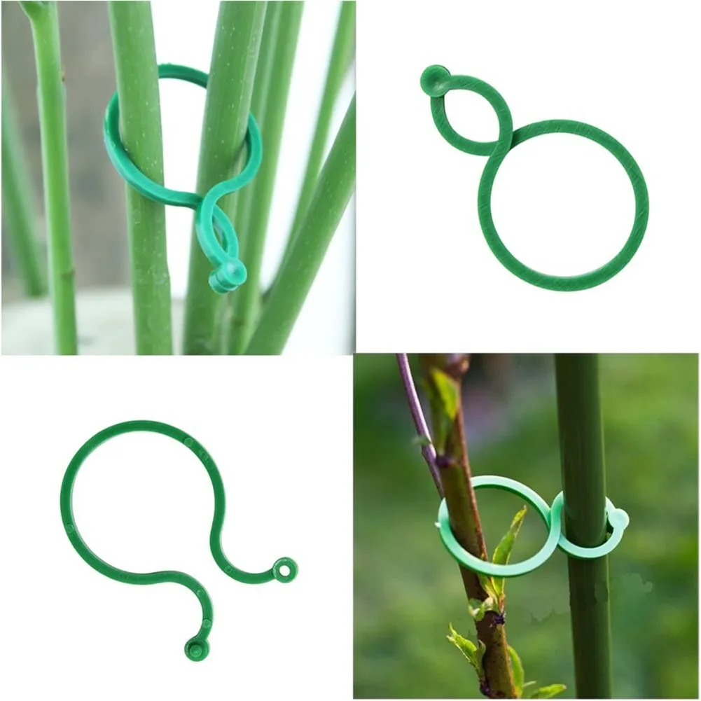 30pcs Garden Plant Holder Trellis Clips For Vine Vegetable New Tomato Growing Supports Greenhous Garden Plant Stand Tool
30pcs Garden Plant Holder Trellis Clips For Vine Vegetable New Tomato Growing Supports Greenhous Garden Plant Stand Tool
