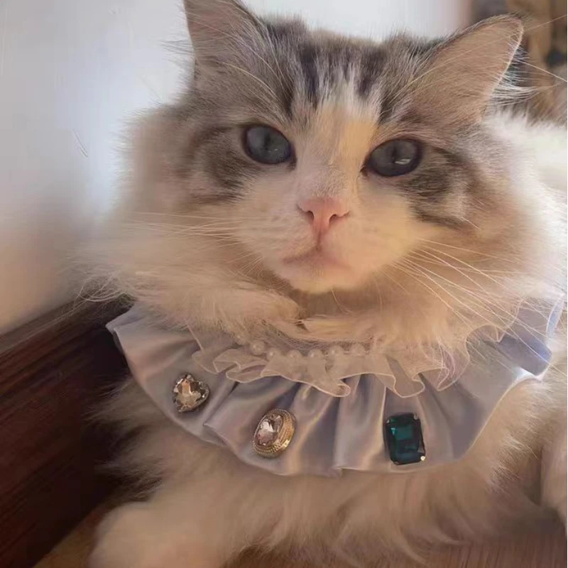 Ribbon Cat Collar, High-End, Fairy Dog Scarf, Cat Bow Bibs with Jewelry, Pet Sweet Accessories for Kitten, Puppy,Teddy
Ribbon Cat Collar, High-End, Fairy Dog Scarf, Cat Bow Bibs with Jewelry, Pet Sweet Accessories for Kitten, Puppy,Teddy