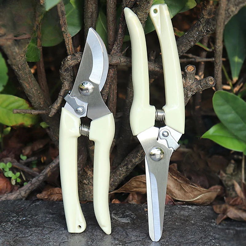 2PC New Gardening Tools Shears Cut Branches Scissors Pruning Shears Fruit Tree Pruning Flower Branches Orchard Scissors
2PC New Gardening Tools Shears Cut Branches Scissors Pruning Shears Fruit Tree Pruning Flower Branches Orchard Scissors