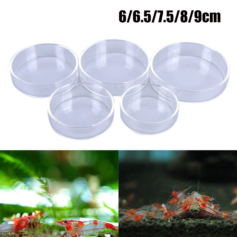 1pcs 6/6.5/7.5/8/9cm Aquarium Feeding Bowl Fish Tank Feeder Shrimp Tropical Fish Ratfish Glass Feeding Dish Clear Round Tray
1pcs 6/6.5/7.5/8/9cm Aquarium Feeding Bowl Fish Tank Feeder Shrimp Tropical Fish Ratfish Glass Feeding Dish Clear Round Tray