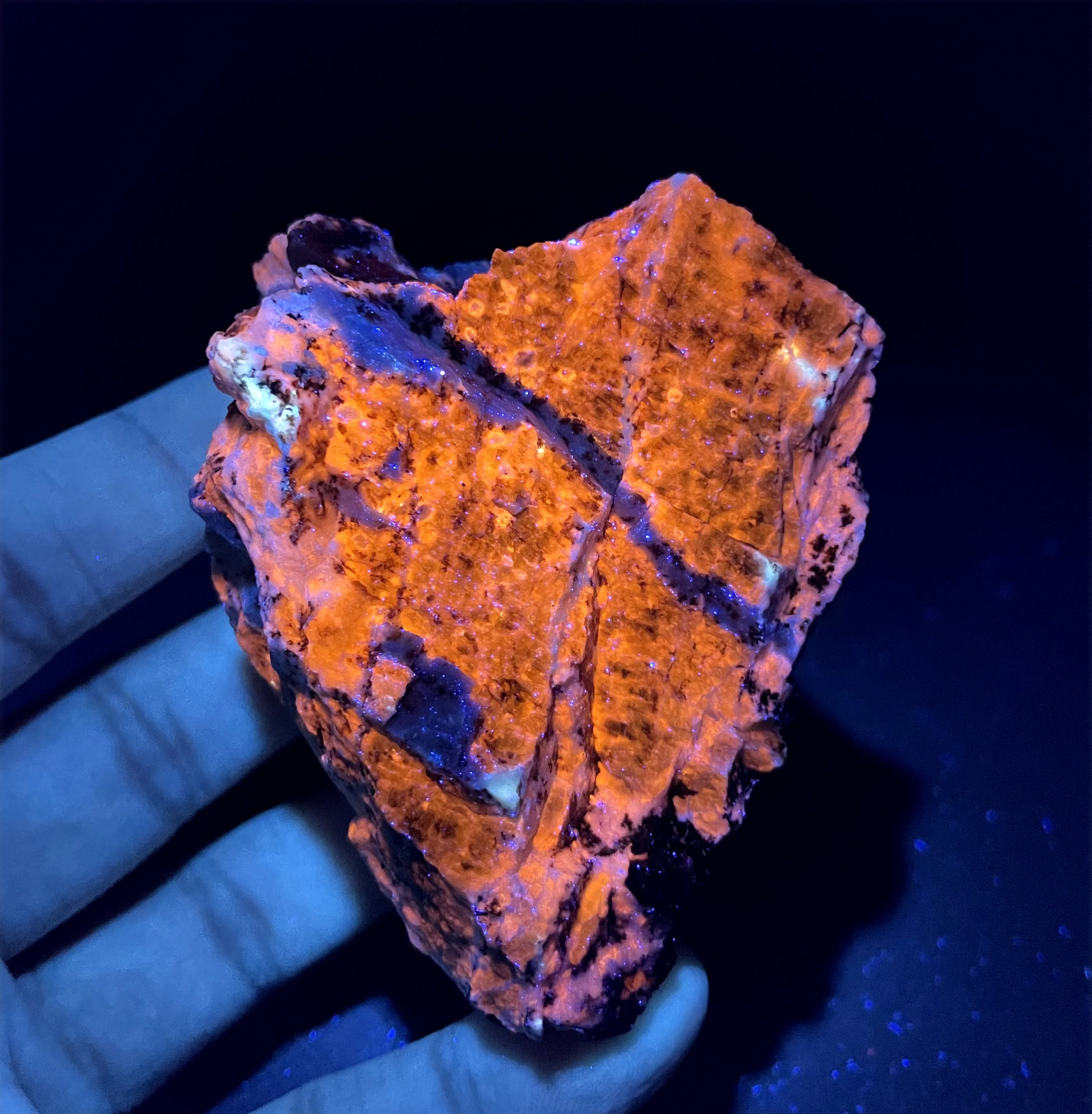 BEST! 100% Natural Afghan orange Fluorescent blue Sodalite Mineral Specimens stones and crystals quartz
BEST! 100% Natural Afghan orange Fluorescent blue Sodalite Mineral Specimens stones and crystals quartz