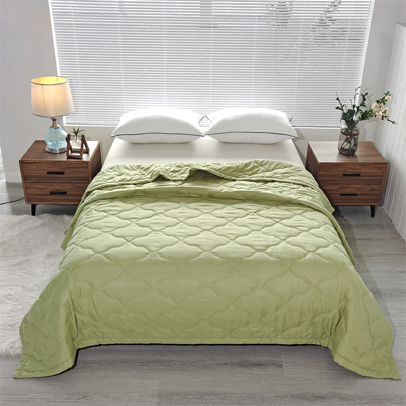 Quilted summer single double bed light Printed quilt core Air conditioning quilting twin queen size duvet Thin plaid comforter Quilted summer single double bed light Printed quilt core Air conditioning quilting twin queen size duvet Thin plaid comforter