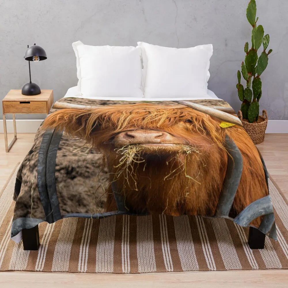 

Cute hungry ginger Scottish Highland cow Throw Blanket Decorative Beds for sofa Moving Blankets