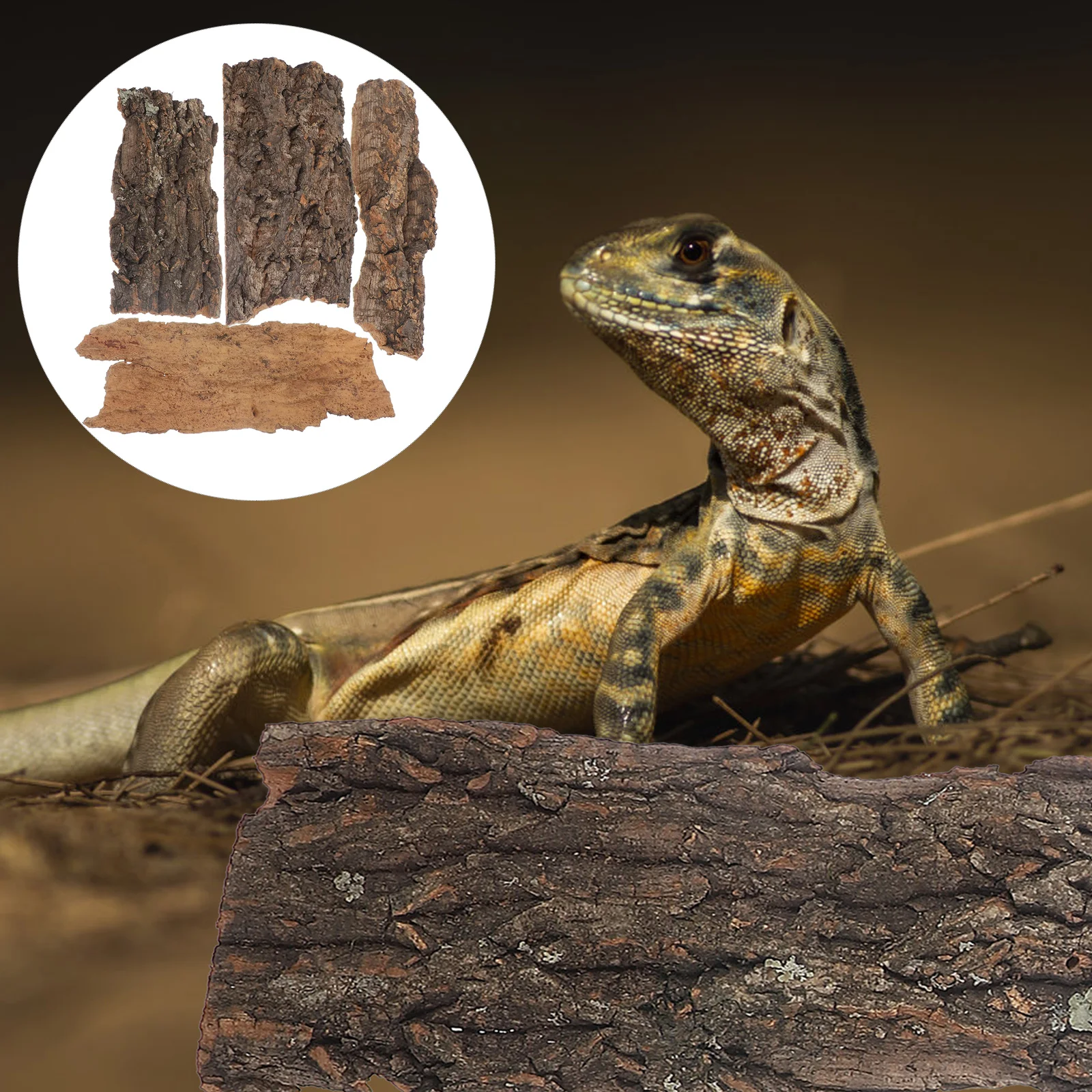 Reptiles Climbing Platform Cork Bark Beard Turtle Basking Platform Acrylic Tree Decoration Terrarium Fish Tank Decoration
Reptiles Climbing Platform Cork Bark Beard Turtle Basking Platform Acrylic Tree Decoration Terrarium Fish Tank Decoration