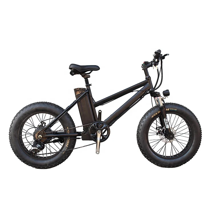 

High Quality 250W/350W Motor Electric Snow Mountain bike 20 Inch Disc Brake Suspension Electric Fat Tyre Cycle