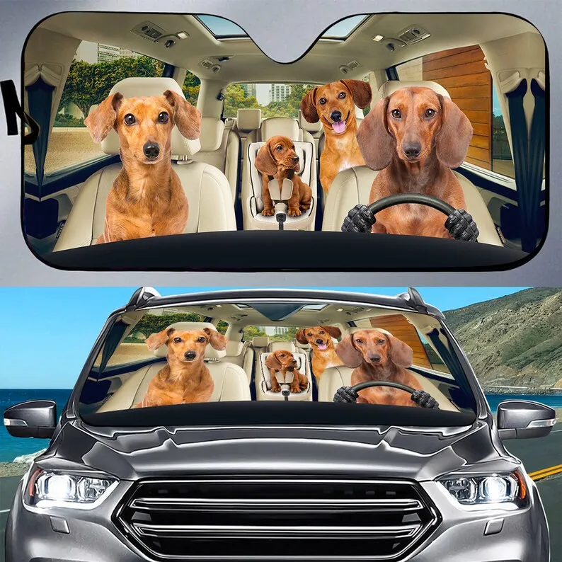 Red Dachshund Wiener Sunshade Dog, Car Sun Shade, Dog Mom Dog Dad, Car Sun Visors For Windshield Premium Car Sunshade
Red Dachshund Wiener Sunshade Dog, Car Sun Shade, Dog Mom Dog Dad, Car Sun Visors For Windshield Premium Car Sunshade