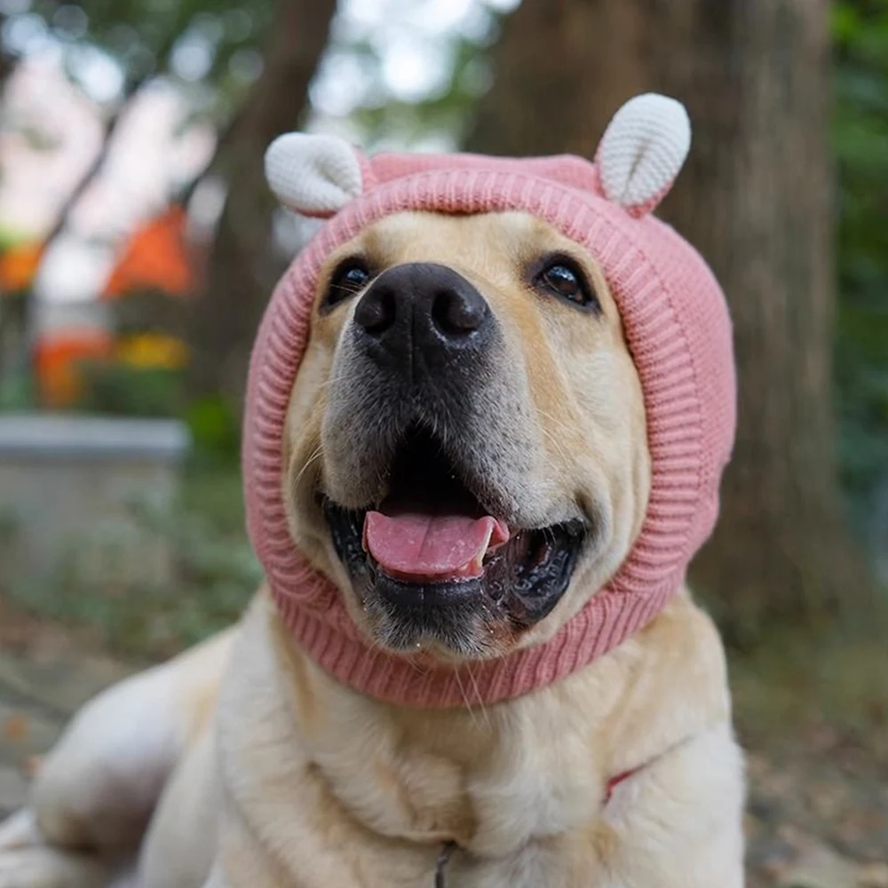 Pet Dog Hat Autumn Winter Cute Windproof Warm Rabbit Ears Frog Glasses Headgear Household Products Accessories Noise Protection
Pet Dog Hat Autumn Winter Cute Windproof Warm Rabbit Ears Frog Glasses Headgear Household Products Accessories Noise Protection