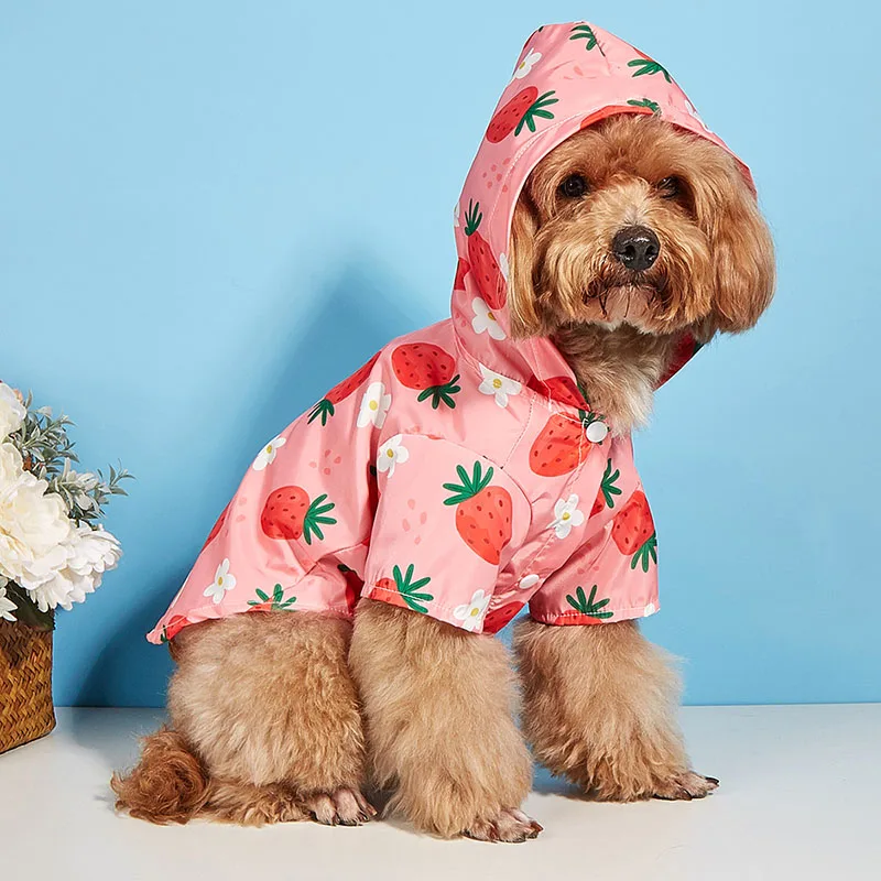Summer New Pet Raincoat Waterproof Hooded Polyester Material Breathable Poncho Printed with Strawberry Dog Clothing Pet Apparel
Summer New Pet Raincoat Waterproof Hooded Polyester Material Breathable Poncho Printed with Strawberry Dog Clothing Pet Apparel