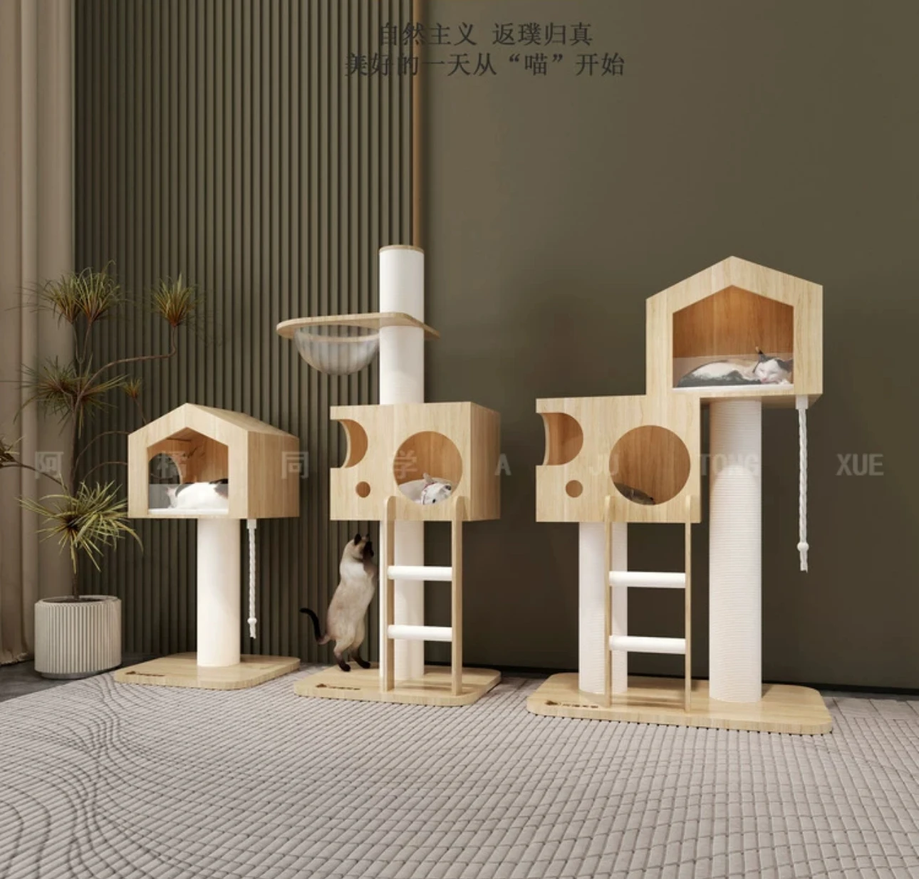 Solid wood cat climbing frame acrylic double-layer cat nest cat tree grinding claw column integrated
Solid wood cat climbing frame acrylic double-layer cat nest cat tree grinding claw column integrated