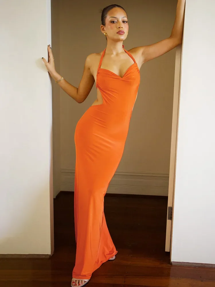 Orange Backless Maxi Dress For Women Fashion Halter Sleeveless Bodycon Back Split Club Party Sexy Long Dress 2024
Orange Backless Maxi Dress For Women Fashion Halter Sleeveless Bodycon Back Split Club Party Sexy Long Dress 2024