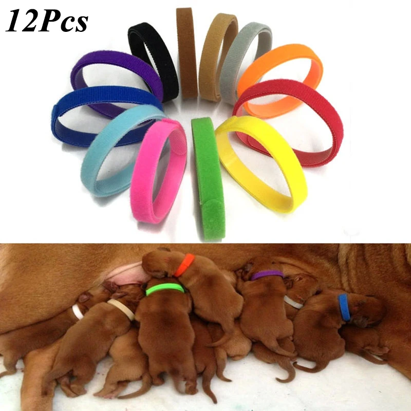 2023NEW 12 Pcs/Set Puppy Newborn Pets Identify Collars Adjustable Nylon Small Pet Dog Collars Kitten Necklace Whelping Collars
2023NEW 12 Pcs/Set Puppy Newborn Pets Identify Collars Adjustable Nylon Small Pet Dog Collars Kitten Necklace Whelping Collars