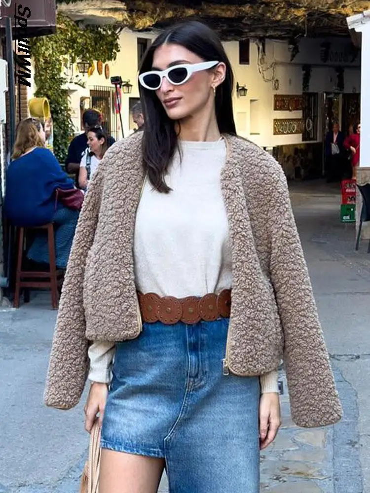 Однотонная короткая плюшевая куртка из овечьей шерсти, женское Свободное пальто на молнии с круглым вырезом и длинным рукавом, зима 2023, Элегантное повседневное уличное Женское пальто 
Однотонная короткая плюшевая куртка из овечьей шерсти, женское Свободное пальто на молнии с круглым вырезом и длинным рукавом, зима 2023, Элегантное повседневное уличное Женское пальто