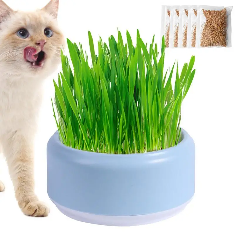 

Cat Grass Planter Layered Hydroponic Cat Grass Box Sturdy Non Slip No Smell Pets Grass Pot Color Contrast Grass Planting Bowls