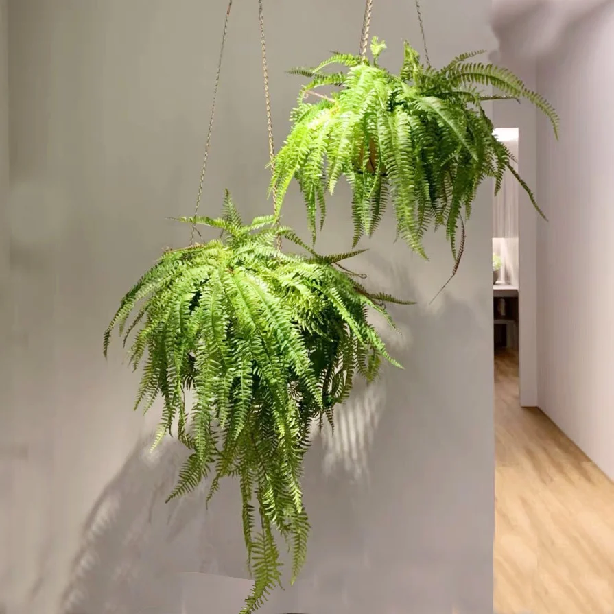 New 70CM1PC Large Wall Mount Boston Leaf Tropical Fern Green Artificial Plant Garden Outdoor Wall Vertical Room Decoration
New 70CM1PC Large Wall Mount Boston Leaf Tropical Fern Green Artificial Plant Garden Outdoor Wall Vertical Room Decoration