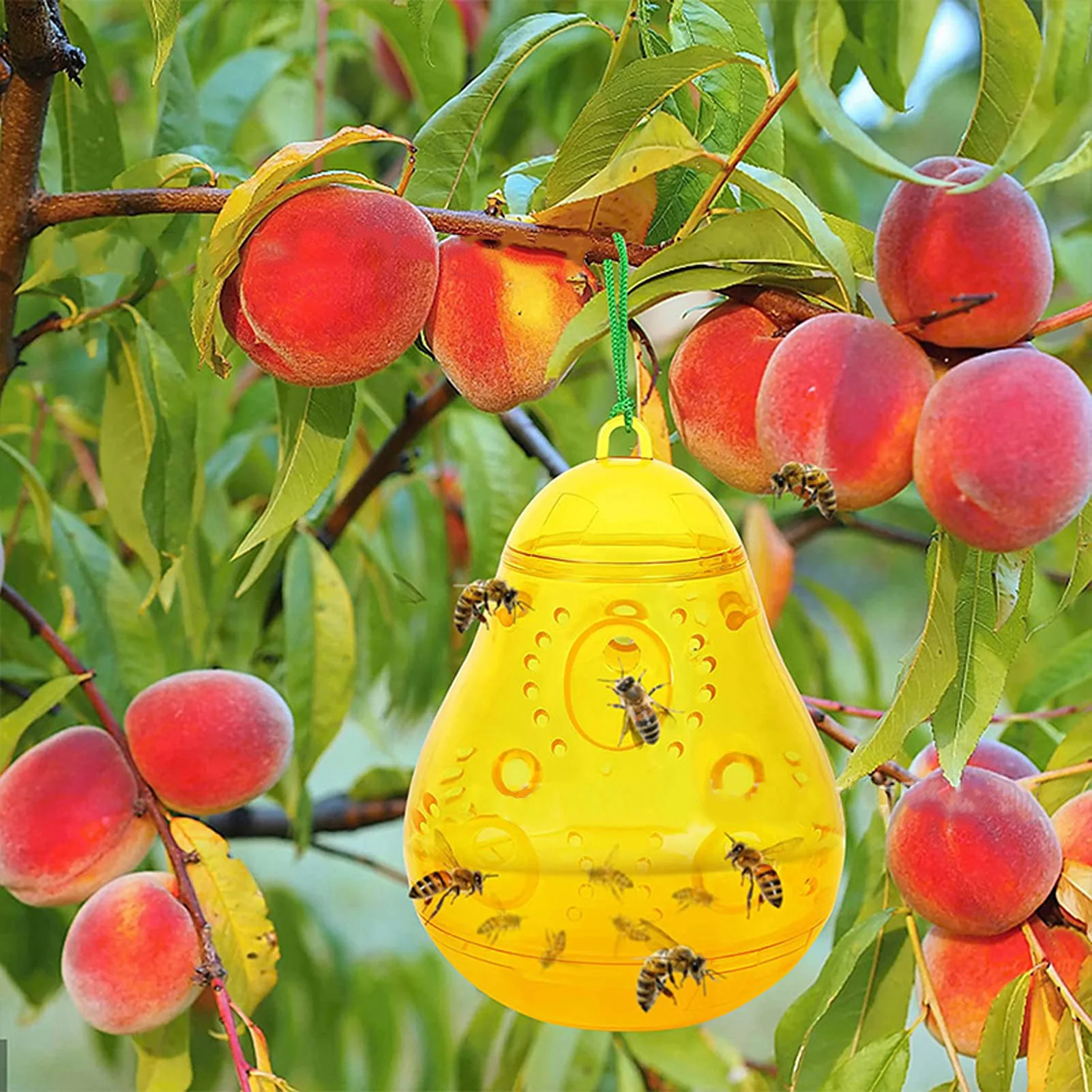 2pcs Bee Traps Hornet Jacket Catcher Outdoor Hanging Yellow Bee Trapper Bee Deterrent Killer for Farms Gardens Camping
2pcs Bee Traps Hornet Jacket Catcher Outdoor Hanging Yellow Bee Trapper Bee Deterrent Killer for Farms Gardens Camping