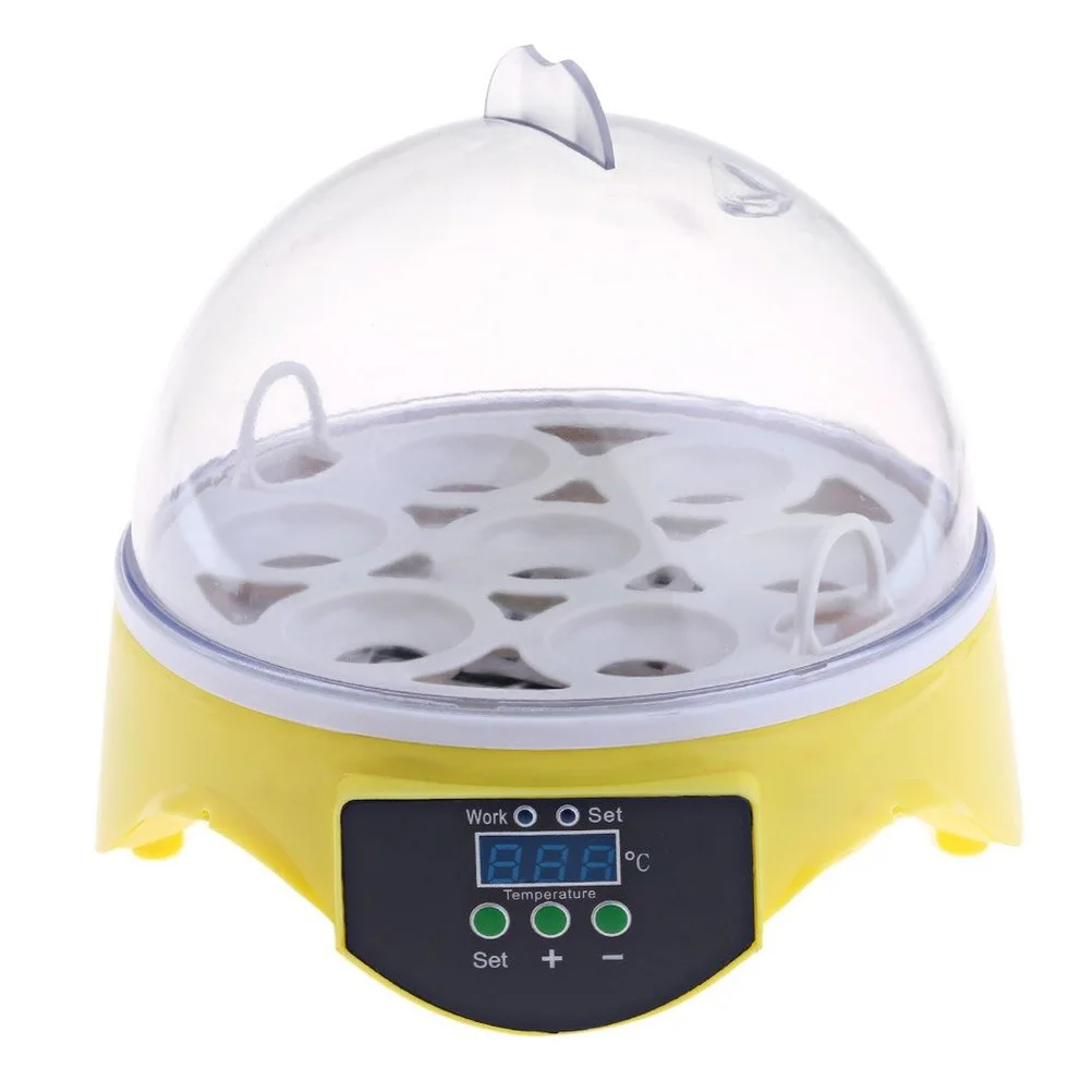 7 Eggs Chick Brooder Hatcher Incubator Hatching Chicken Hatchery Small Household with Automatic Turning
7 Eggs Chick Brooder Hatcher Incubator Hatching Chicken Hatchery Small Household with Automatic Turning