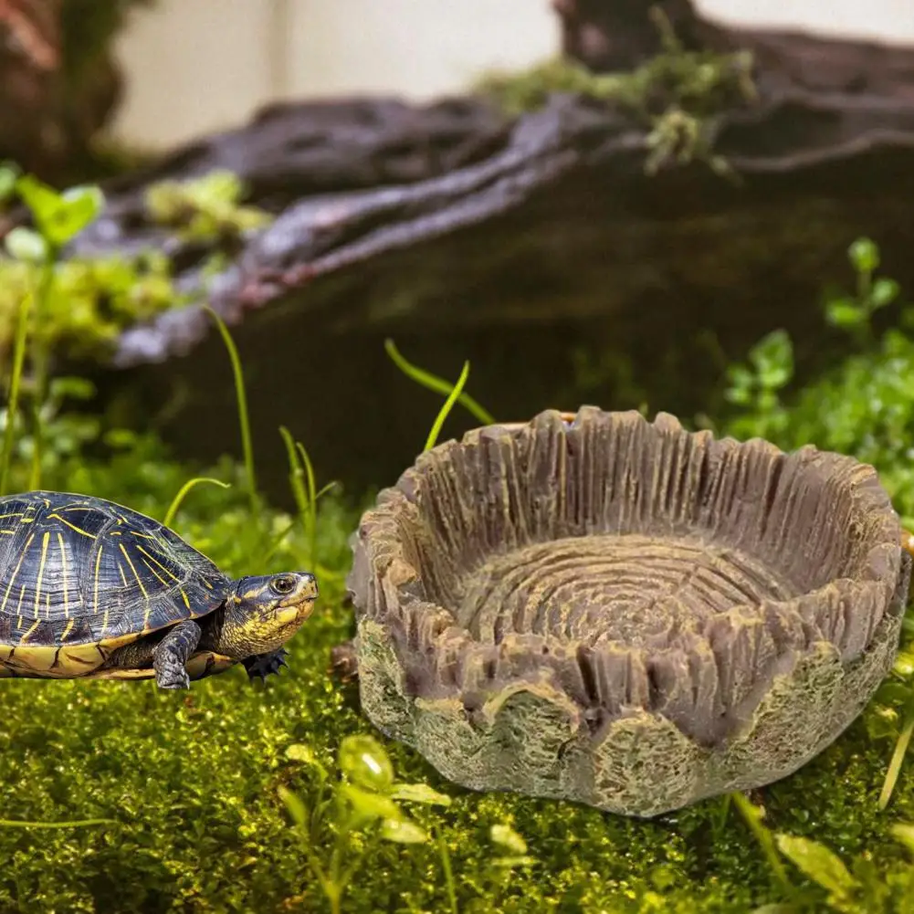 Food Water Bowls for High-quality Food Water Bowls Versatile Accessories Stump Ring Feeding Bowls Aquascape for Lizards
Food Water Bowls for High-quality Food Water Bowls Versatile Accessories Stump Ring Feeding Bowls Aquascape for Lizards