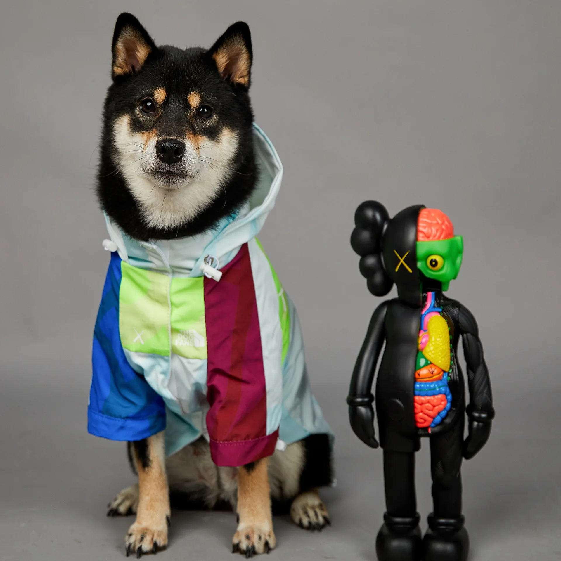Windproof and Rainproof Dog Jacket, Large Dog Raincoat, Dog Shell Jacket, Pet Clothing
Windproof and Rainproof Dog Jacket, Large Dog Raincoat, Dog Shell Jacket, Pet Clothing
