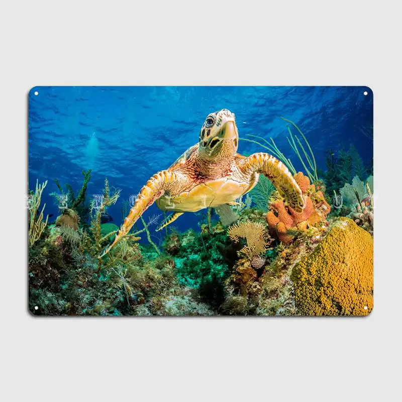 Hawksbill черепаха плавание металлический знак настенная пещера дома Забавный фотографический плакат
Hawksbill черепаха плавание металлический знак настенная пещера дома Забавный фотографический плакат