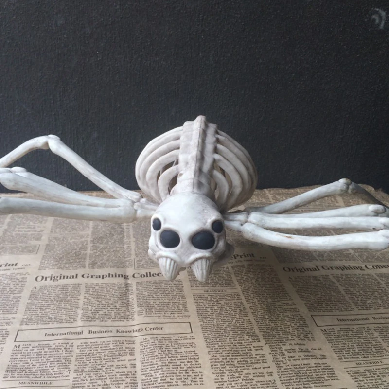 Halloween Decoration Animal Skeleton Bone Creepy Owl Big Spider Bone Ornaments Halloween Horror Skeleton Props Party Decoration
Halloween Decoration Animal Skeleton Bone Creepy Owl Big Spider Bone Ornaments Halloween Horror Skeleton Props Party Decoration
