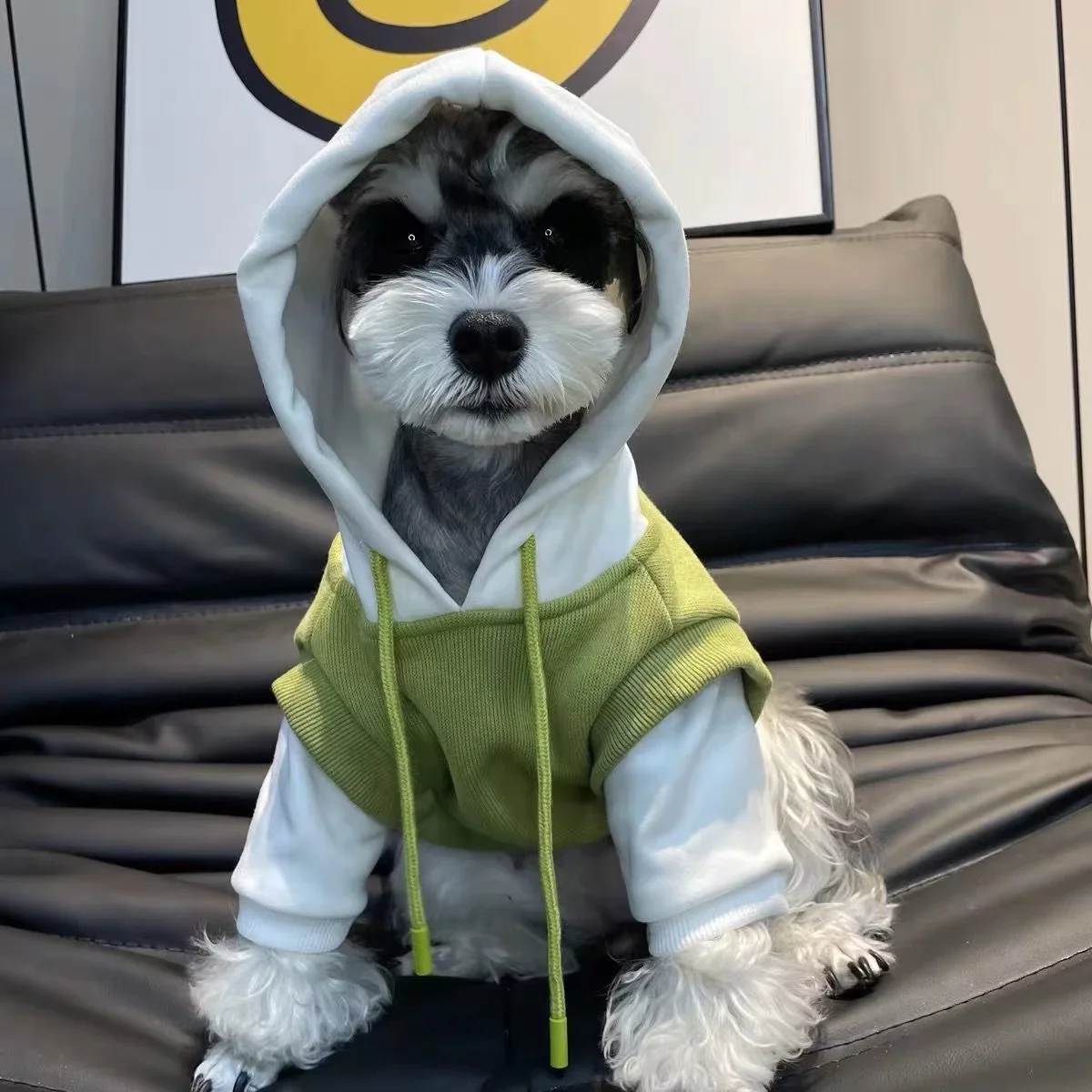

Зимняя модная одежда для собак, теплая толстовка с капюшоном, пальто для щенка французского бульдога для маленьких и средних собак, костюм для чихуахуа