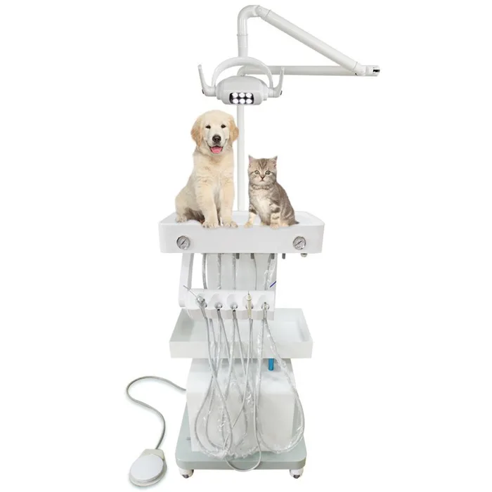 Luxury Dental Equipment Trolley Cart Movable Treatment Desk Portable Dental Unit with LED Dental Oral Operation Lamp
Luxury Dental Equipment Trolley Cart Movable Treatment Desk Portable Dental Unit with LED Dental Oral Operation Lamp