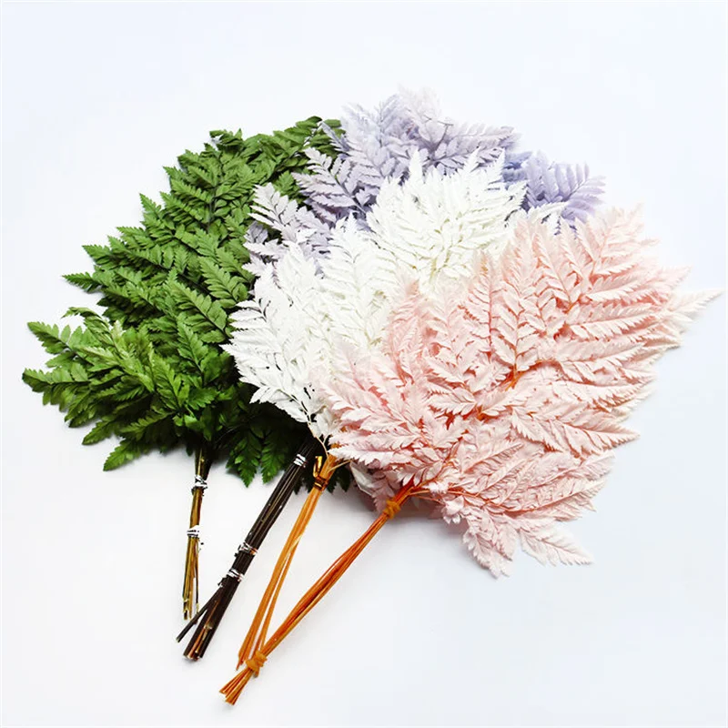 10pcs Natural Plant Preserved Flower Dried Fern Leaf Sawtooth Leaf Alpine Tooth Fern Wedding Decoration Room Artificial Flower
10pcs Natural Plant Preserved Flower Dried Fern Leaf Sawtooth Leaf Alpine Tooth Fern Wedding Decoration Room Artificial Flower