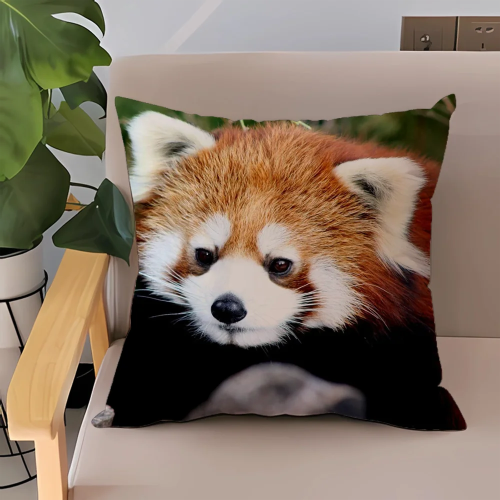 

Double-sided Printing Red Panda Cushion Cover 45x45 Cushions Covers Twin Size Bedding Decorative Pillows for Sofa Short Plush