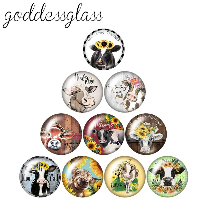 New cows cattle Bull Cute heifer Hello 10pcs 12mm/18mm/20mm/25mm Round photo glass cabochon demo flat back Making findings
New cows cattle Bull Cute heifer Hello 10pcs 12mm/18mm/20mm/25mm Round photo glass cabochon demo flat back Making findings
