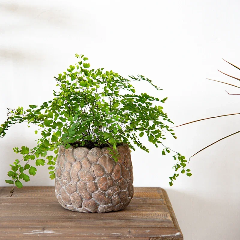 Handmade pottery pot retro desktop green plant small pot pebble style retro handmade breathable nostalgic red pottery pot
Handmade pottery pot retro desktop green plant small pot pebble style retro handmade breathable nostalgic red pottery pot