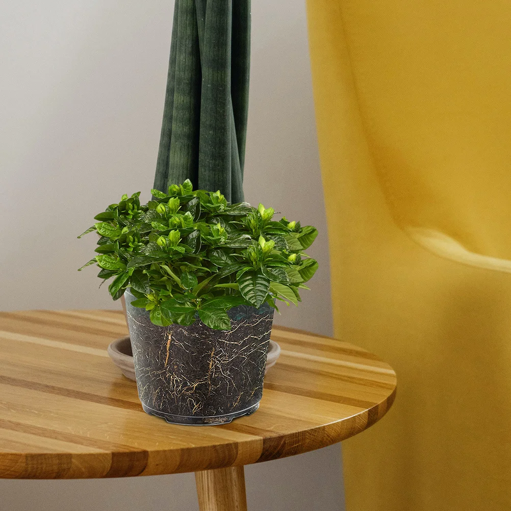 6 Pcs Transparent Flower Pot Plant Pots Indoor Small Orchid Planter for High Transparency Plastic Planters with Holes
6 Pcs Transparent Flower Pot Plant Pots Indoor Small Orchid Planter for High Transparency Plastic Planters with Holes