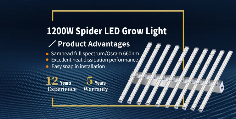 SLTMAKS Dropshipping 10 Bars 1200W Led Grow Lights Dimmable Lm301B 1200 Watt Plant Growth Lamp For Indoor Plant
SLTMAKS Dropshipping 10 Bars 1200W Led Grow Lights Dimmable Lm301B 1200 Watt Plant Growth Lamp For Indoor Plant