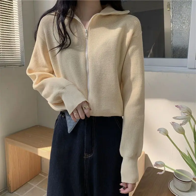 Korean street simplicity Warm Women Hoodie Fashion Y2K Personalized Loose thickening Harajuku Vintage zip up hoodie Top
Korean street simplicity Warm Women Hoodie Fashion Y2K Personalized Loose thickening Harajuku Vintage zip up hoodie Top