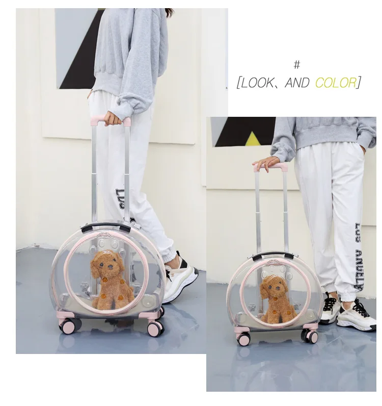 Sfc765dc5b6c3495e897ed404f0c3e261o