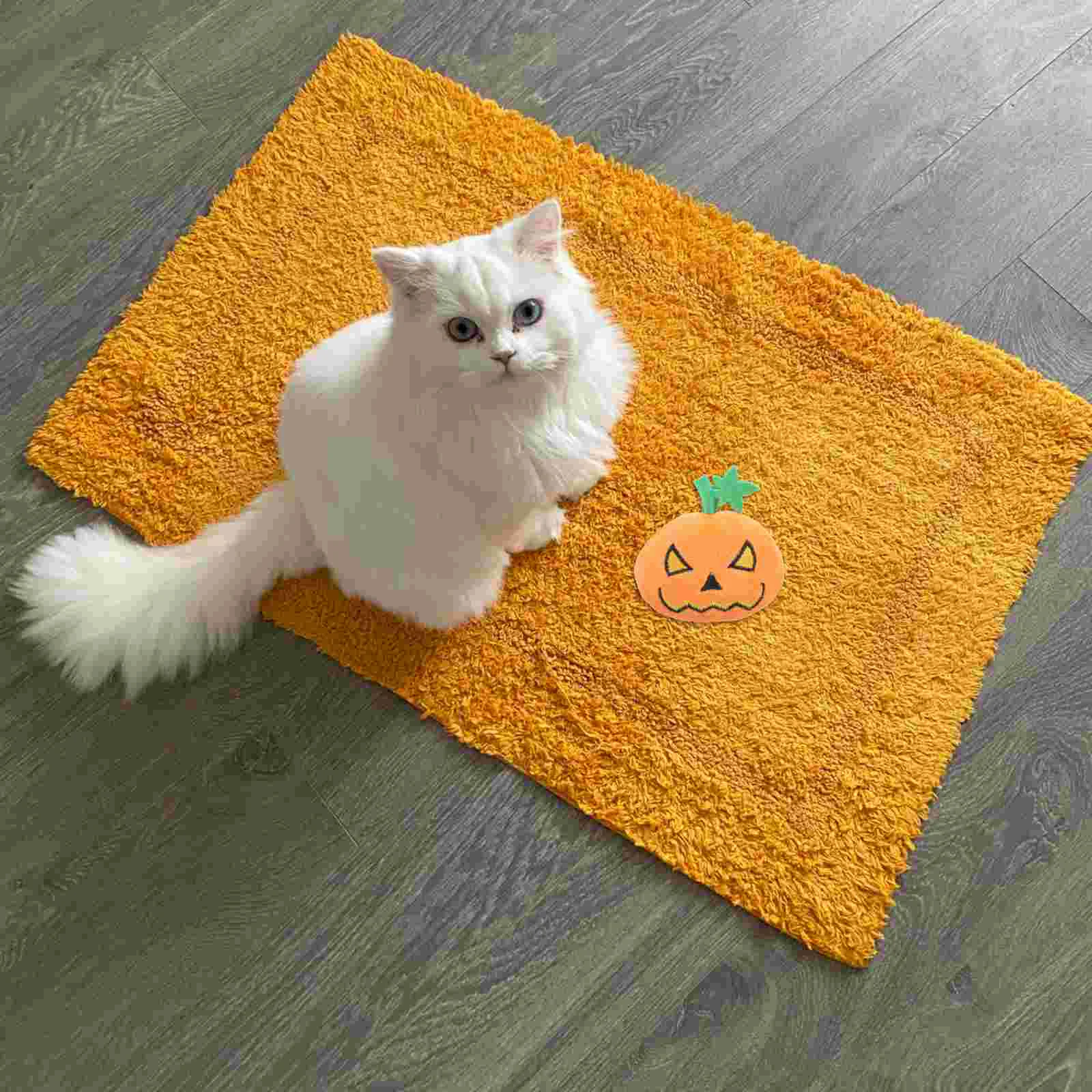 Pet Plush Toy Halloween Cat Toys For Cats Mint Indoor Molar Stuffed Pumpkin Catnip Interactive
Pet Plush Toy Halloween Cat Toys For Cats Mint Indoor Molar Stuffed Pumpkin Catnip Interactive