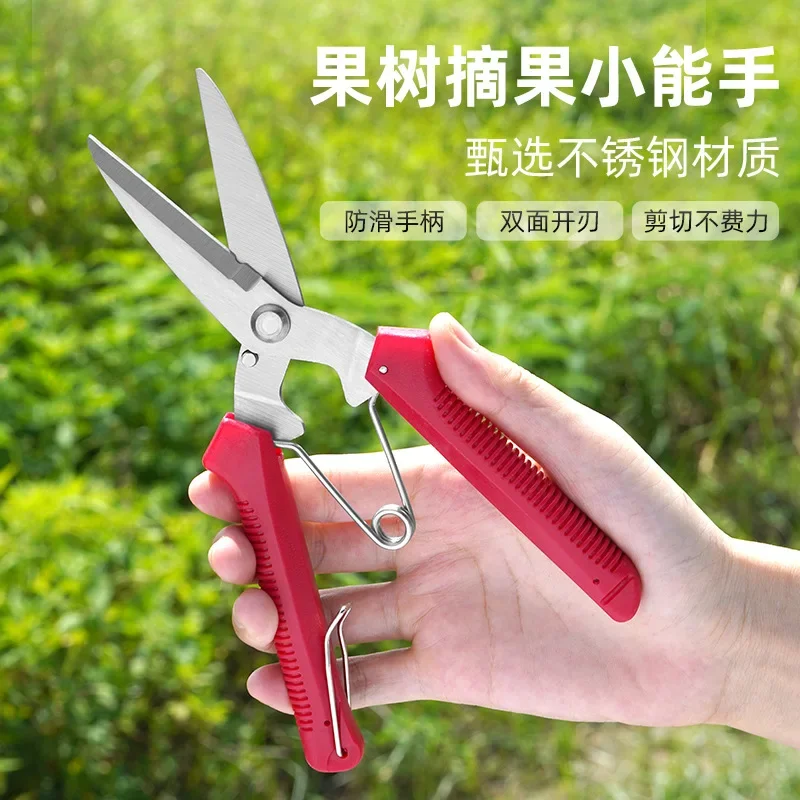 

Garden Pruning Shears Stainless Steel Plants Fruit Grape Picking Scissors Horticulture Leaf Trimmer Straight Elbow Pruning Tools
