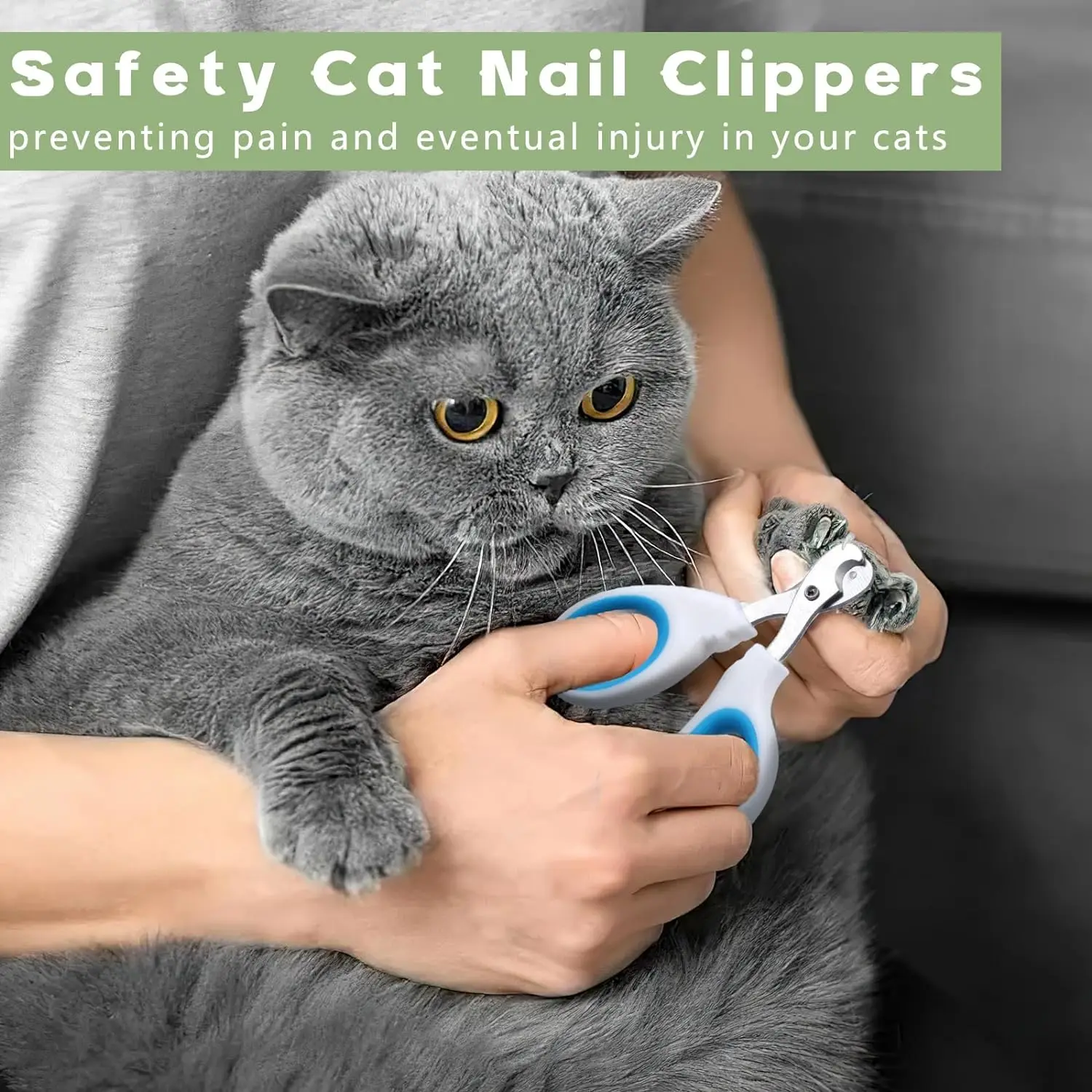 Pet Cat Dog Nail Clipper Cutter Stainless Steel Grooming Scissor Clipper Claw Nail Supplies for Professionals Dog Nail Trimmer
Pet Cat Dog Nail Clipper Cutter Stainless Steel Grooming Scissor Clipper Claw Nail Supplies for Professionals Dog Nail Trimmer
