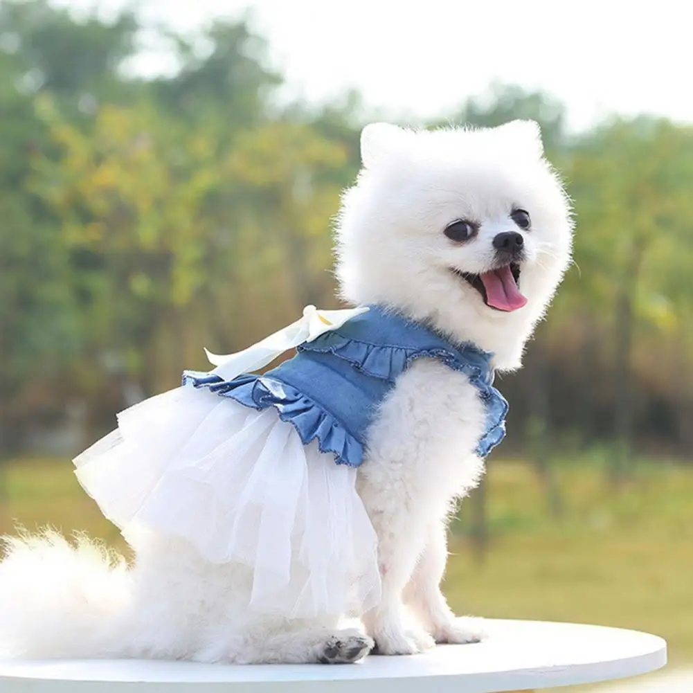 Decorating Stylish Summer Dog Two-legged Clothes Pullover Pet Skirt Comfortable for Home Wear
Decorating Stylish Summer Dog Two-legged Clothes Pullover Pet Skirt Comfortable for Home Wear