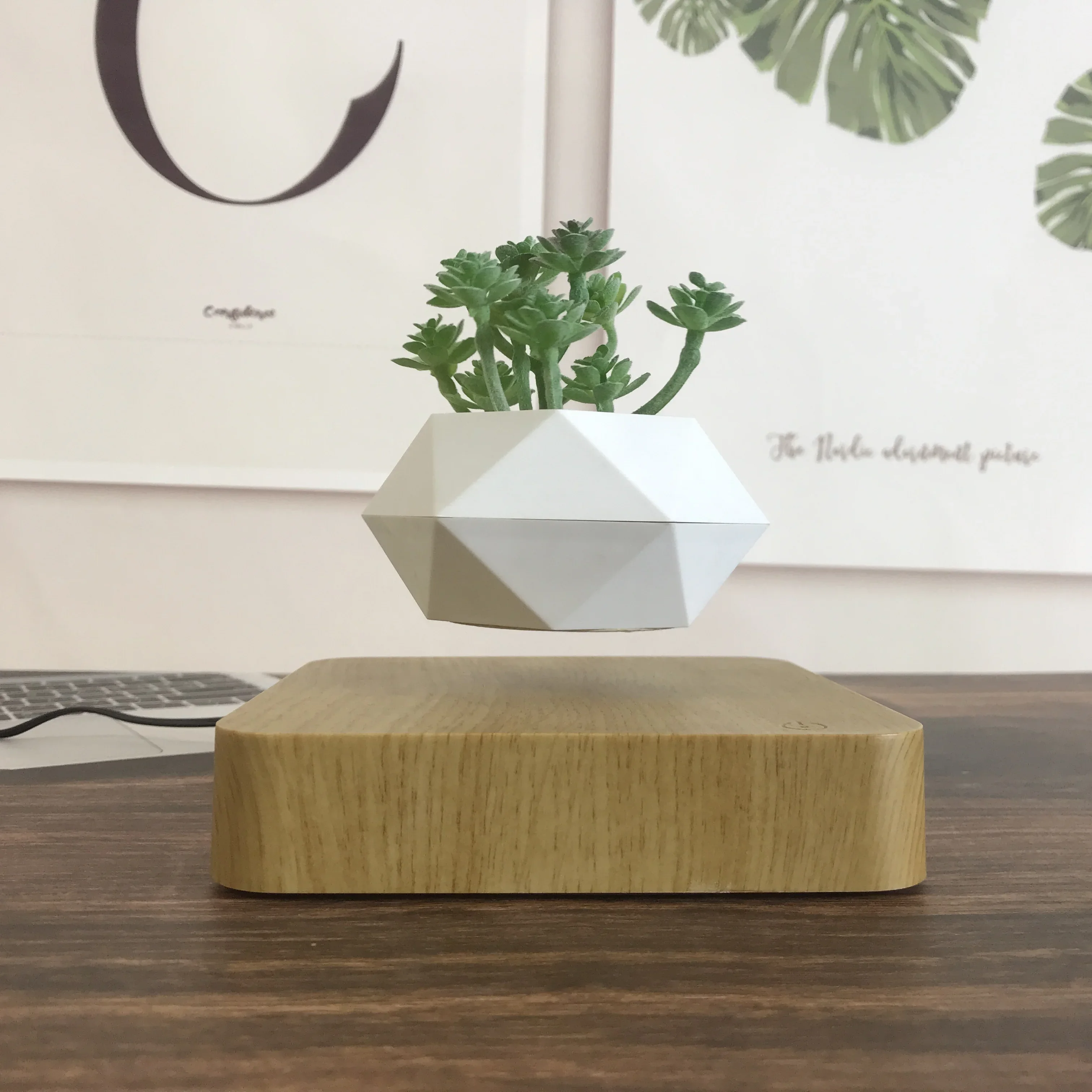 Levitating Plant Pot Rotating Floating Pot Creative And Unique Gifts Bonsai Potted Home Decoration
Levitating Plant Pot Rotating Floating Pot Creative And Unique Gifts Bonsai Potted Home Decoration