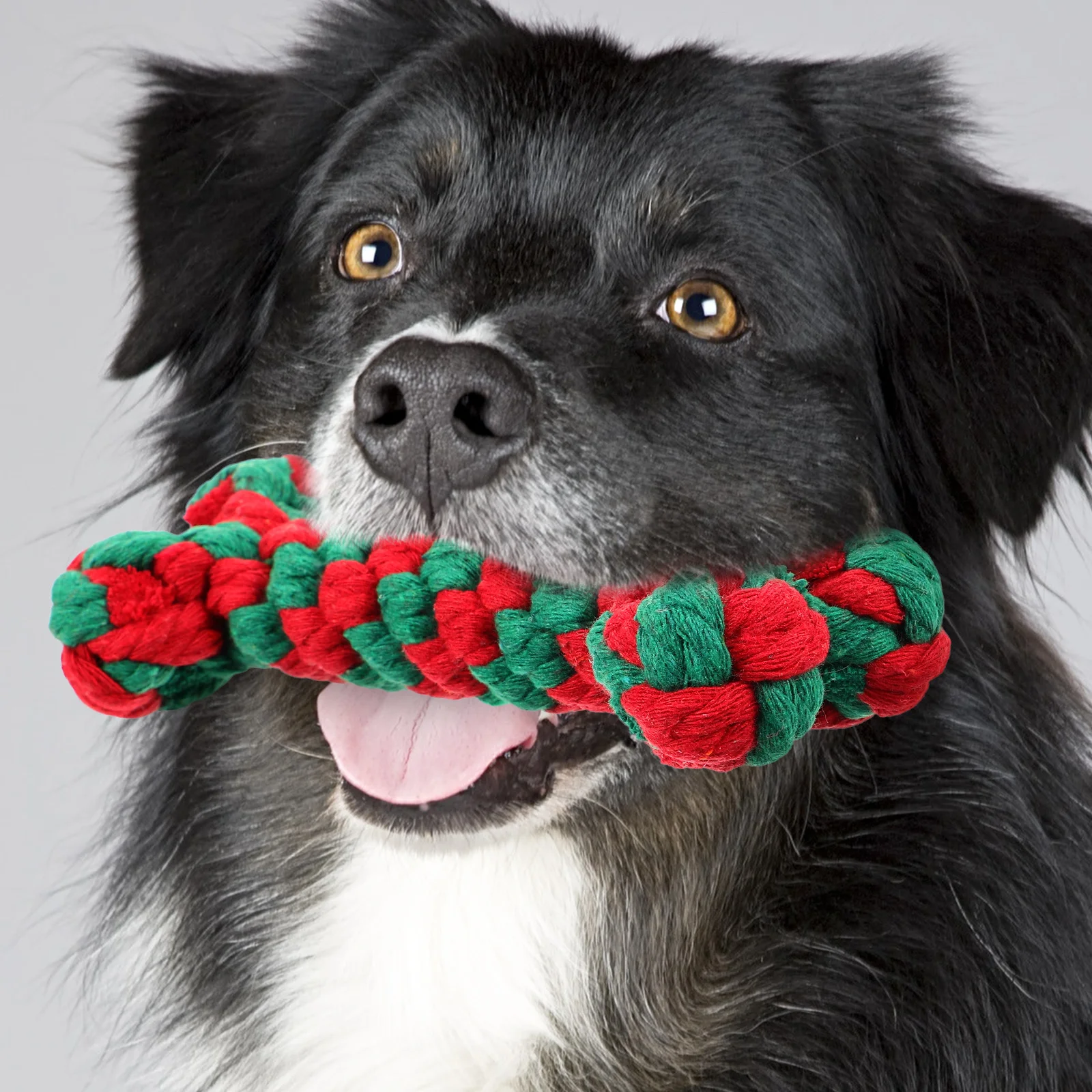 Cotton Rope Pet Bone Toy Gifts for Stocking Stuffers Xmas Dog Chew Molar Teeth Plaything
Cotton Rope Pet Bone Toy Gifts for Stocking Stuffers Xmas Dog Chew Molar Teeth Plaything