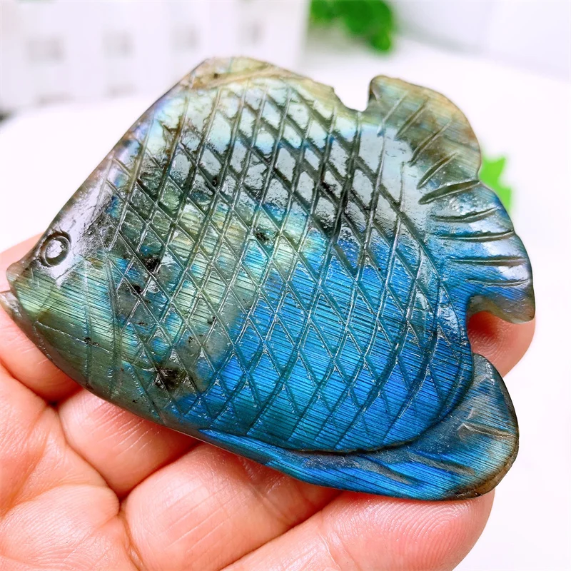 Natural Labradorite Fish Carving Tail Carving Hand Polished Reiki Healing Crystal Gift Room Office Home Decoration 1PCS
Natural Labradorite Fish Carving Tail Carving Hand Polished Reiki Healing Crystal Gift Room Office Home Decoration 1PCS
