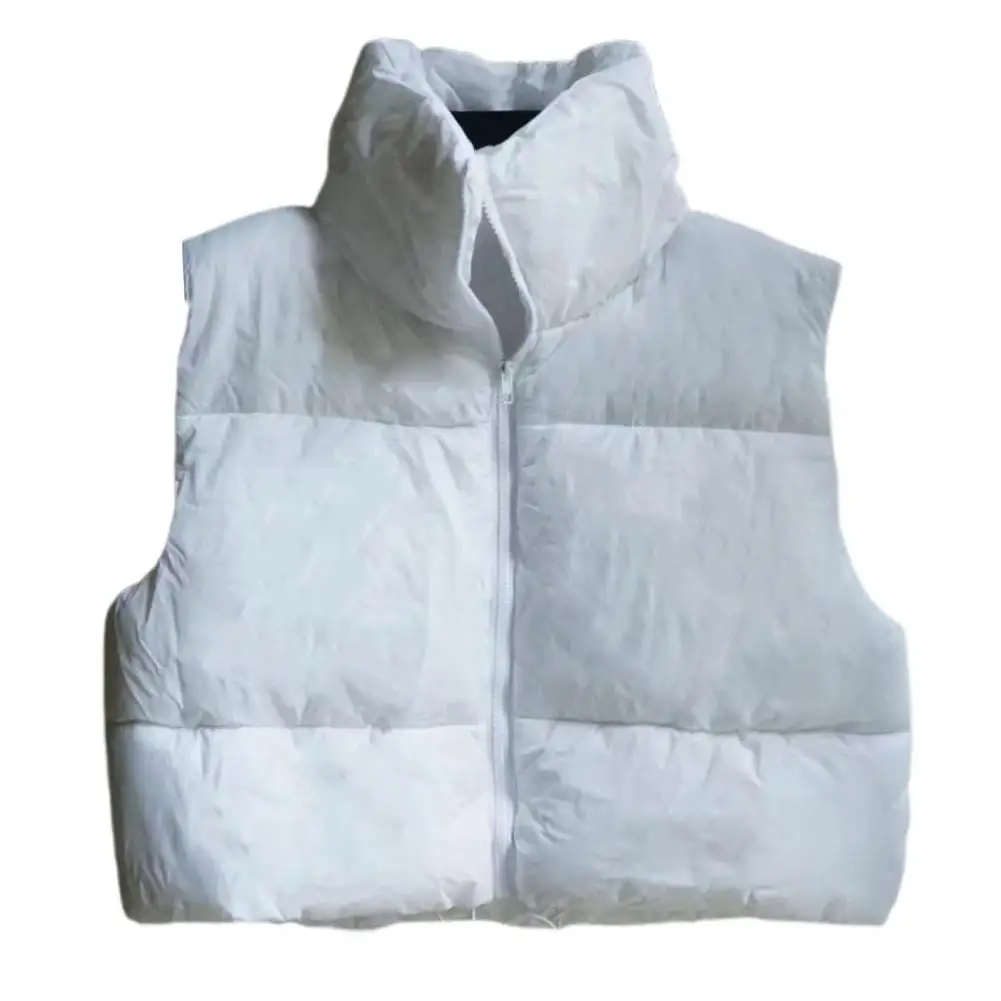 Women Cotton Vest Winter Cotton Vest Coat for Women Short Stand Collar Windproof Resistant Outdoor Waistcoat Women Solid Color
Women Cotton Vest Winter Cotton Vest Coat for Women Short Stand Collar Windproof Resistant Outdoor Waistcoat Women Solid Color