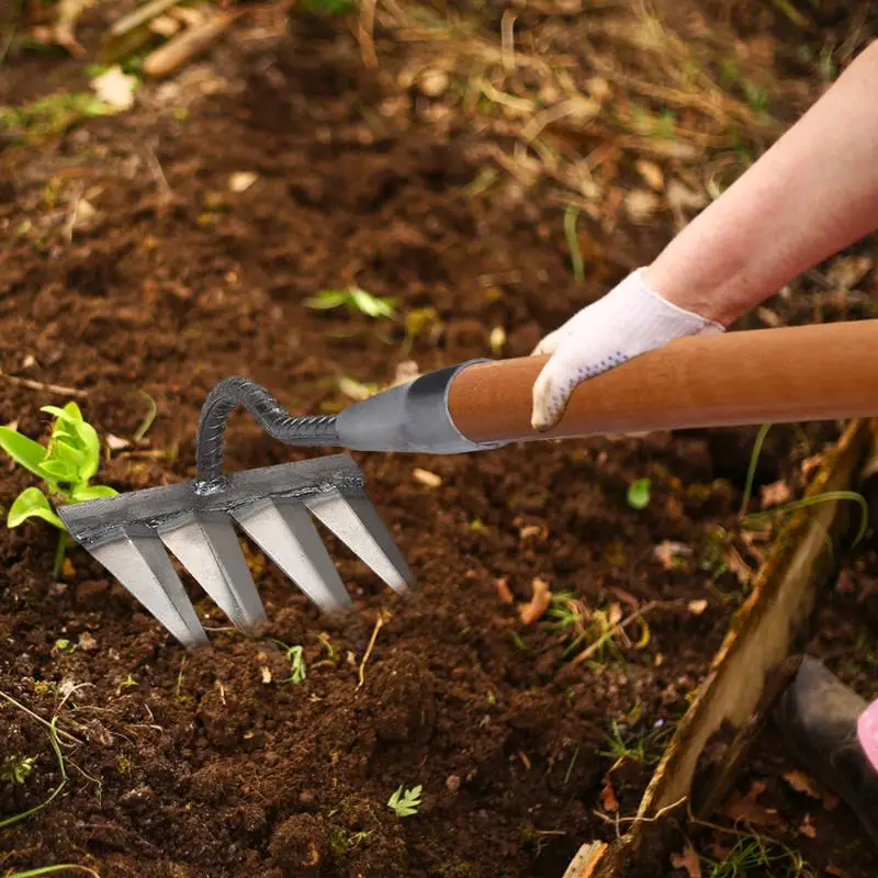 Heavy Duty Metal Garden Weeding Rake Weeding Hoe Rake Farm Tool Weeding Scarifier Artifact Agricultural Gardening Weeding Tools
Heavy Duty Metal Garden Weeding Rake Weeding Hoe Rake Farm Tool Weeding Scarifier Artifact Agricultural Gardening Weeding Tools