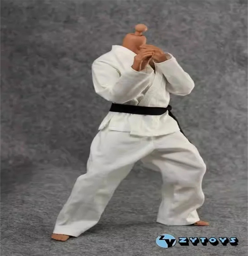 ZYTOYS 1/6 солдат дзюдо, белая униформа, костюм кунг-фу, брюки, модель, аксессуары, подходит для 12 дюймов, экшн-фигурки, тело
ZYTOYS 1/6 солдат дзюдо, белая униформа, костюм кунг-фу, брюки, модель, аксессуары, подходит для 12 дюймов, экшн-фигурки, тело