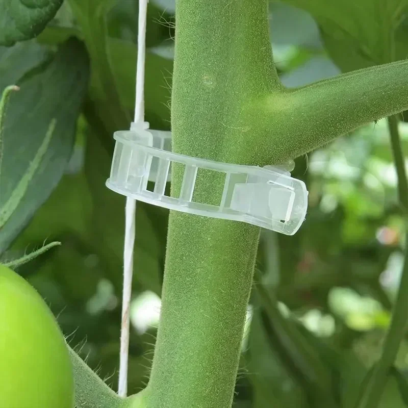 Tomato Vine Support Clips Sfd011ebf915c42809eb01b1e78679e54s