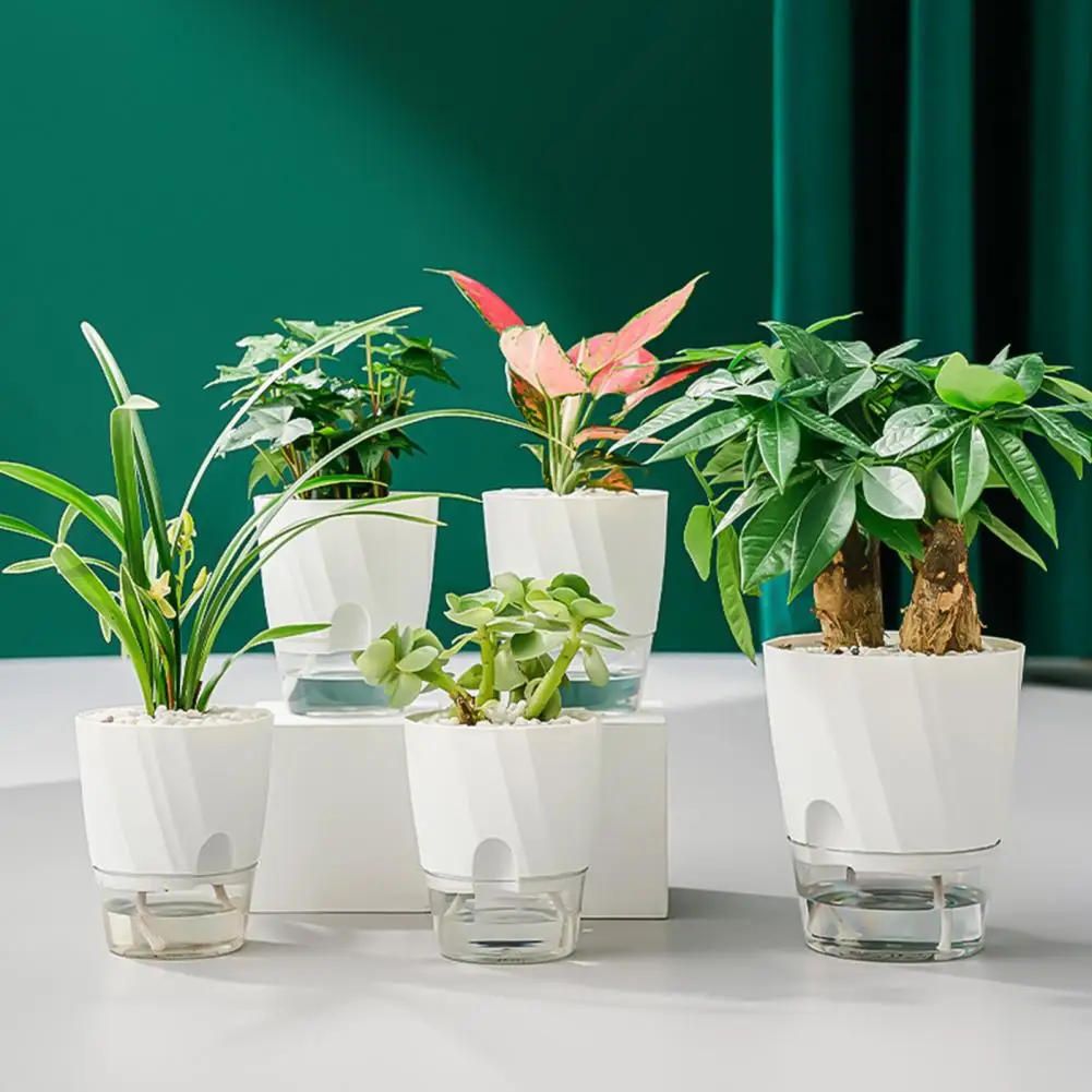 Planter Pot with Wick Rope Deep Reservoir Round Thicken Ventilation Holes Self Watering Planter Flower Plant Pot Garden Supplies 
Planter Pot with Wick Rope Deep Reservoir Round Thicken Ventilation Holes Self Watering Planter Flower Plant Pot Garden Supplies